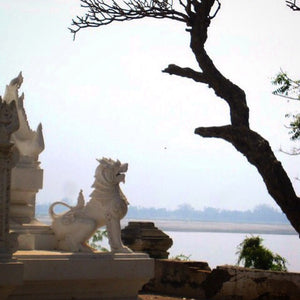 Chinthe Burmese Lion Guardian in front of temple in Burma next to the river. 